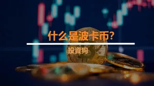 什么是波卡币？
